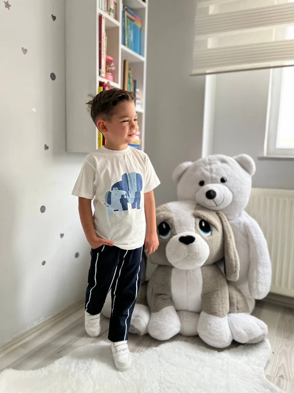 Disney Fil Desen Takım